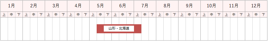 サクランボ 商品一覧 食品事業部 株式会社イワサワ